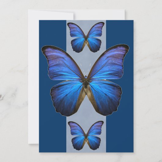 Blue Morpho Butterfly-uitnodigingen Kaart (Voorkant)
