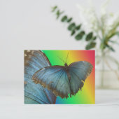 Blue Morpho Butterfly & Wing DIY Briefkaart (Staand voorkant)