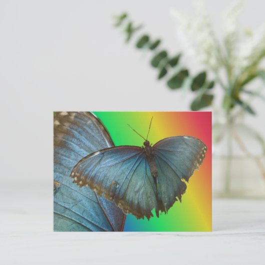 Blue Morpho Butterfly & Wing DIY Briefkaart (Staand voorkant)