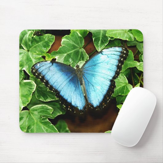Blue Morpho Mousepad Muismat (Met muis)