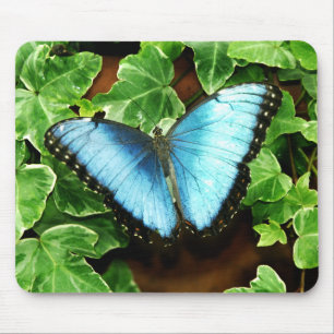 Blue Morpho Mousepad Muismat