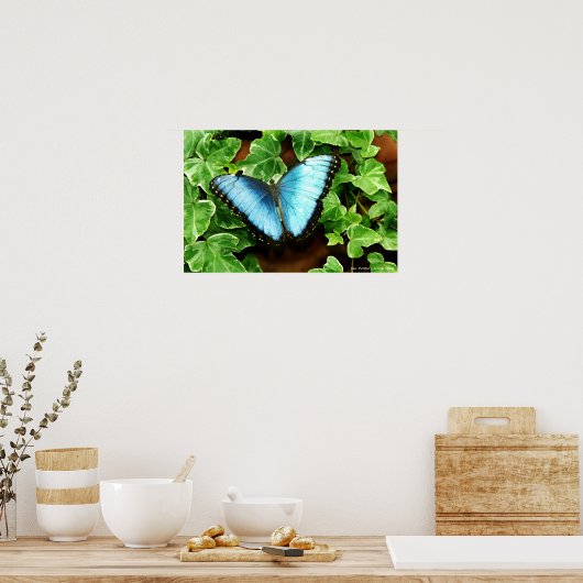 Blue Morpho Print (Keuken)
