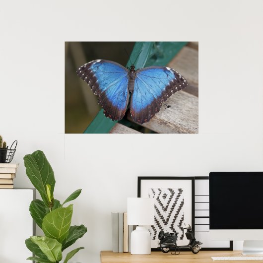 Blue Morpho Print (Thuiskantoor)