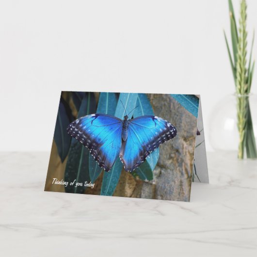 Blue Morpho vlinder denkt aan jou Kaart (Voorkant)
