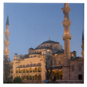 Blue Mosque, Sultanhamet Area, Istanbul, Turkije 2 Tegeltje
