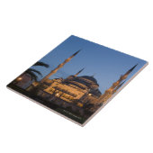 Blue Mosque, Sultanhamet Area, Istanbul, Turkije Tegeltje (Zijkant)