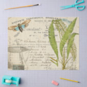 Blue Moth Apothecary Decoupage Tissue Tissuepapier (Craft)