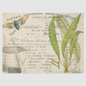 Blue Moth Apothecary Decoupage Tissue Tissuepapier (Voorkant)