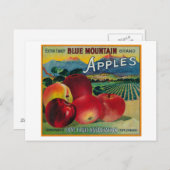 Blue Mountain Apple Crate LabelCove, OF Briefkaart (Voorkant / Achterkant)