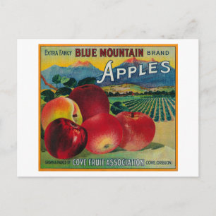 Blue Mountain Apple Crate LabelCove, OF Briefkaart