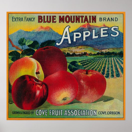 Blue Mountain Apple Crate LabelCove, OF Poster (Voorkant)
