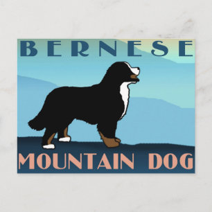 Blue Mountain Bernese Dog Briefkaart