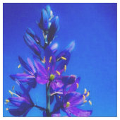 Blue Mountain Camas Tapijt Stof (Close Up)