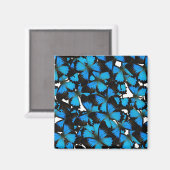 Blue Mountain Swallowtail Magneet (Voorkant / Achterkant)