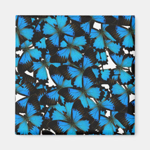 Blue Mountain Swallowtail Magneet