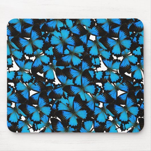 Blue Mountain Swallowtail Muismat (Voorkant)