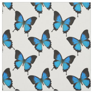 Blue Mountain Swallowtail vlinder Stof