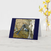 Blue Mud Dauber Wasp Note Kaart (Gele Bloem)