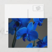 Blue Mystique Briefkaart (Voorkant / Achterkant)