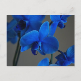 Blue Mystique Briefkaart