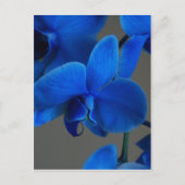 Blue Mystique Briefkaart (Voorkant)