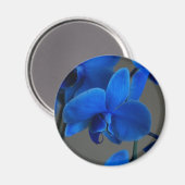 Blue Mystique Magneet (Voorkant / Achterkant)