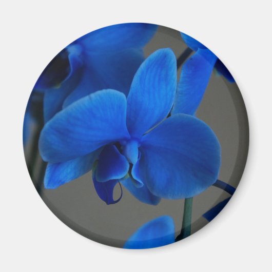 Blue Mystique Magneet (Voorkant)