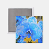 Blue Mystique Orchid Magnet (Voorkant / Achterkant)