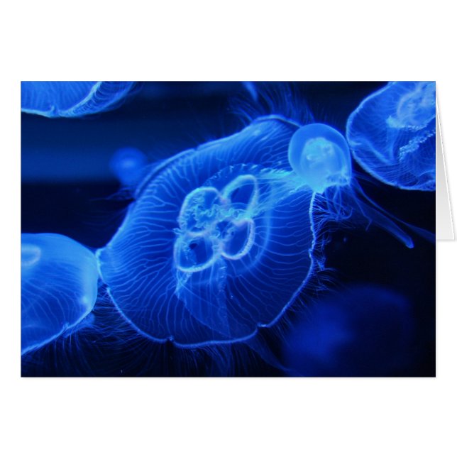 Blue Neon Jellyfish (Voorkant Horizontaal)