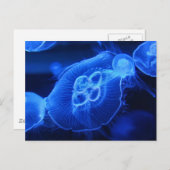 Blue Neon Jellyfish Briefkaart (Voorkant / Achterkant)