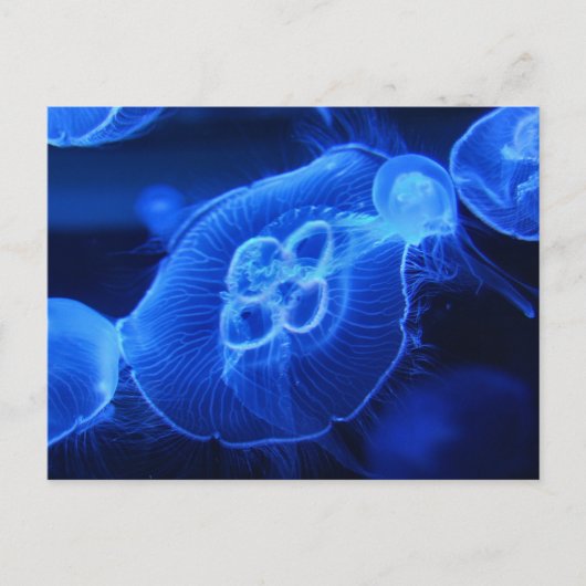 Blue Neon Jellyfish Briefkaart (Voorkant)