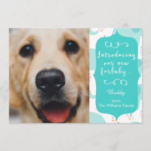 Blue New Furbaby aankondiging