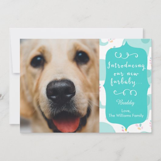 Blue New Furbaby aankondiging (Voorkant)