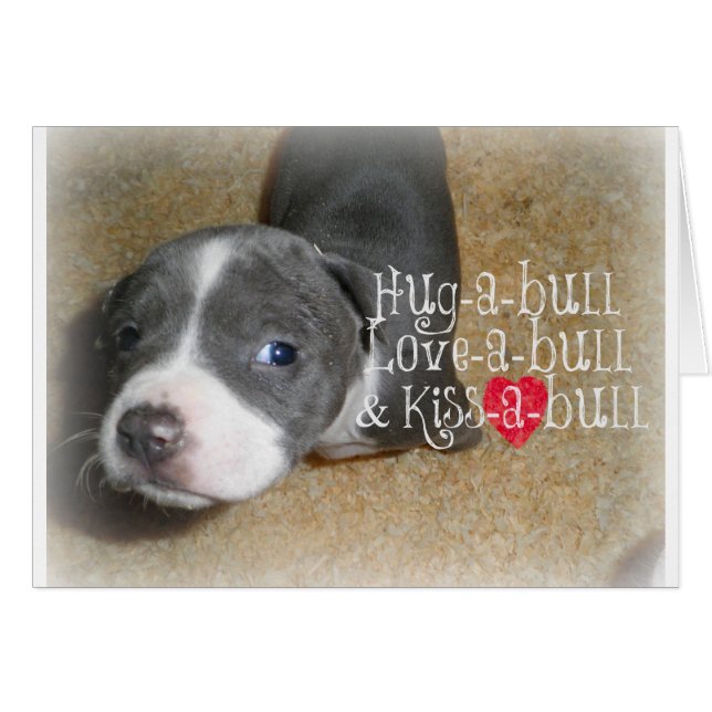 Blue Nose Hugs (Voorkant Horizontaal)