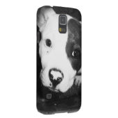 Blue Nose Pitbull Puppy Case-Mate Samsung Galaxy Hoesje (Back/Rechts)