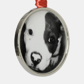 Blue Nose Pitbull Puppy Metalen Ornament (Rechts)