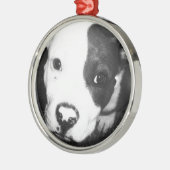 Blue Nose Pitbull Puppy Metalen Ornament (Links)