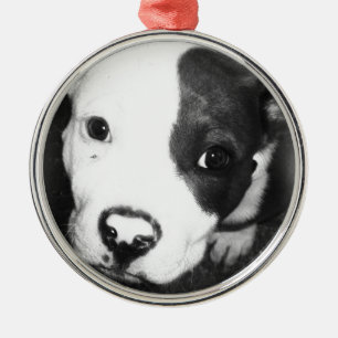 Blue Nose Pitbull Puppy Metalen Ornament