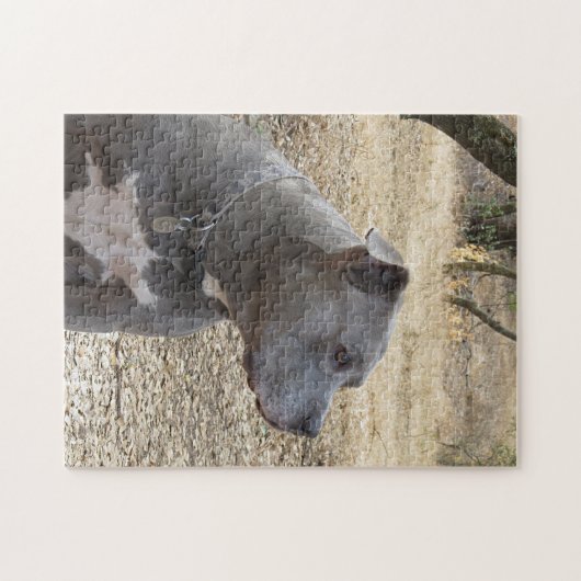 Blue Nose Pitbull Puzzle Legpuzzel (Horizontaal)