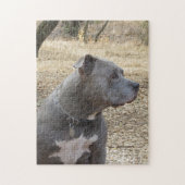 Blue Nose Pitbull Puzzle Legpuzzel (Verticaal)