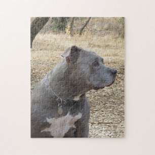 Blue Nose Pitbull Puzzle Legpuzzel