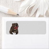 Blue Nose Pitbull Return Address Labels (Insitu)