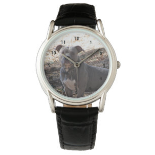 Blue Nose Pitbull Watch Horloge