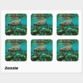 Blue ocean sea turtle swimming sticker (Vel)