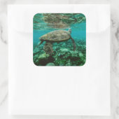 Blue ocean sea turtle swimming sticker (Tas)