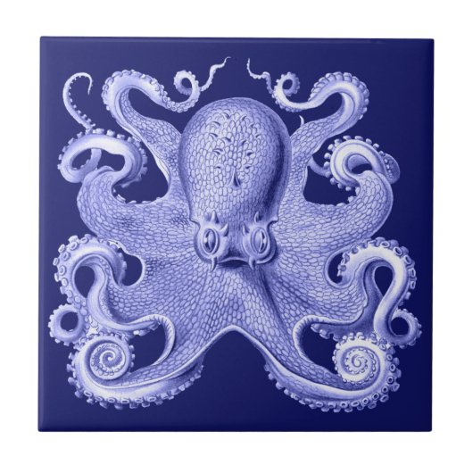Blue Octopus Nautical Beach House Coastal Haeckel Tegeltje (Voorkant)