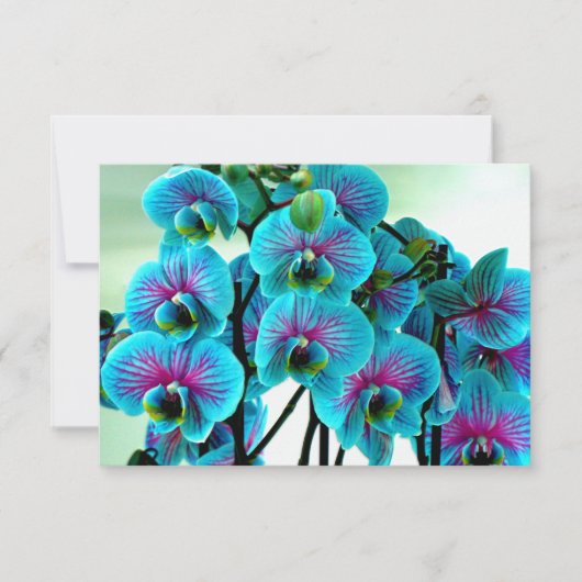 Blue Orchid Flower Bouquet Bedankkaart (Voorkant)