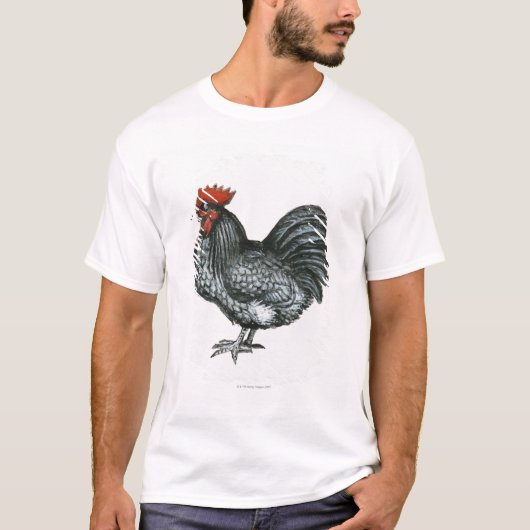 Blue Orpington Bantam T-shirt (Voorkant)