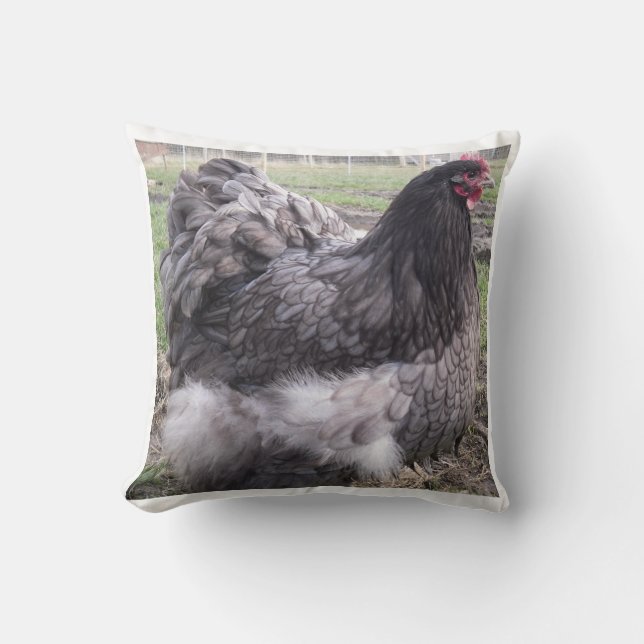 Blue Orpington Cushion, kip, hen, rooster Kussen (Voorkant)