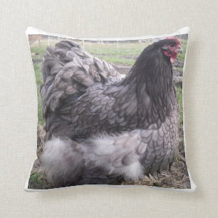 Blue Orpington Cushion, kip, hen, rooster Kussen